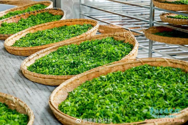 华安大地村入选联合国示范村！从茶叶到百果，乡村振兴这样玩(图2)