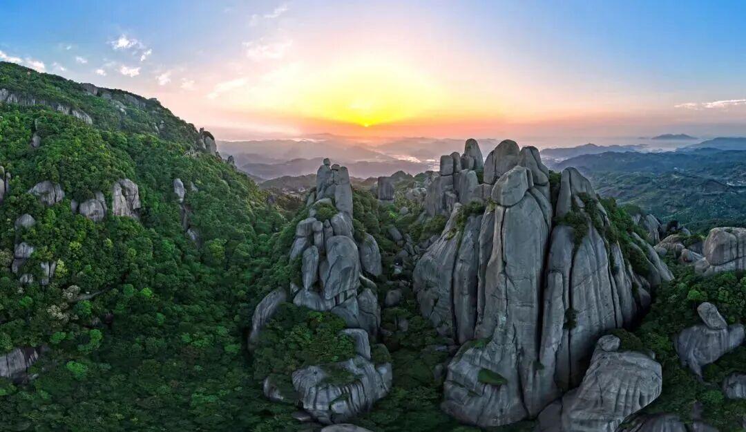 福鼎白茶凭什么火遍世界？产茶大县揭秘乡村振兴密码(图2)