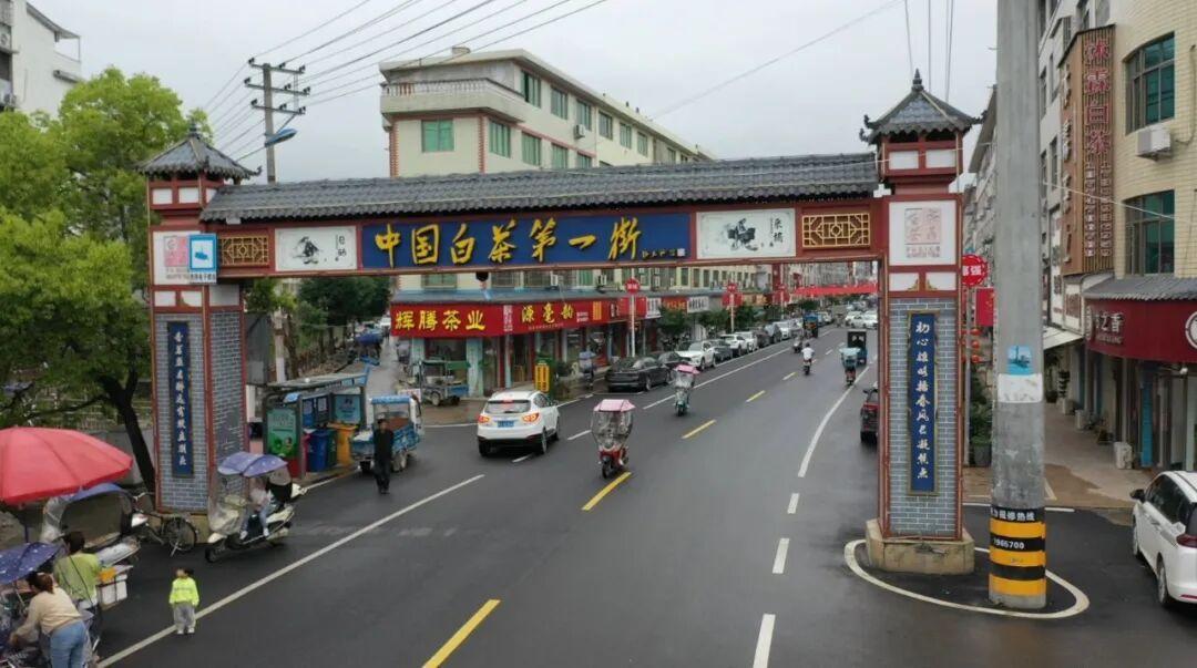 福鼎白茶凭什么火遍世界？产茶大县揭秘乡村振兴密码(图3)