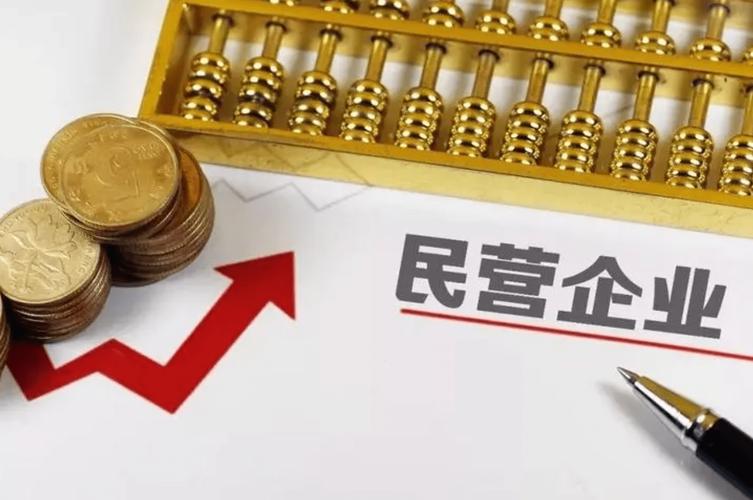 福建征集民企发展金点子,融资人才成热点(图2) 福建征集民企发展金点子,融资人才成热点(图2)