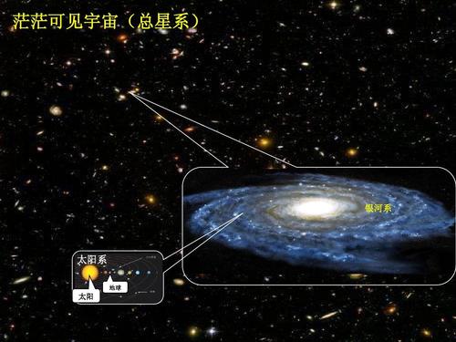 地下菌根网络长度惊人，相当于地球到太阳十亿倍(图2)