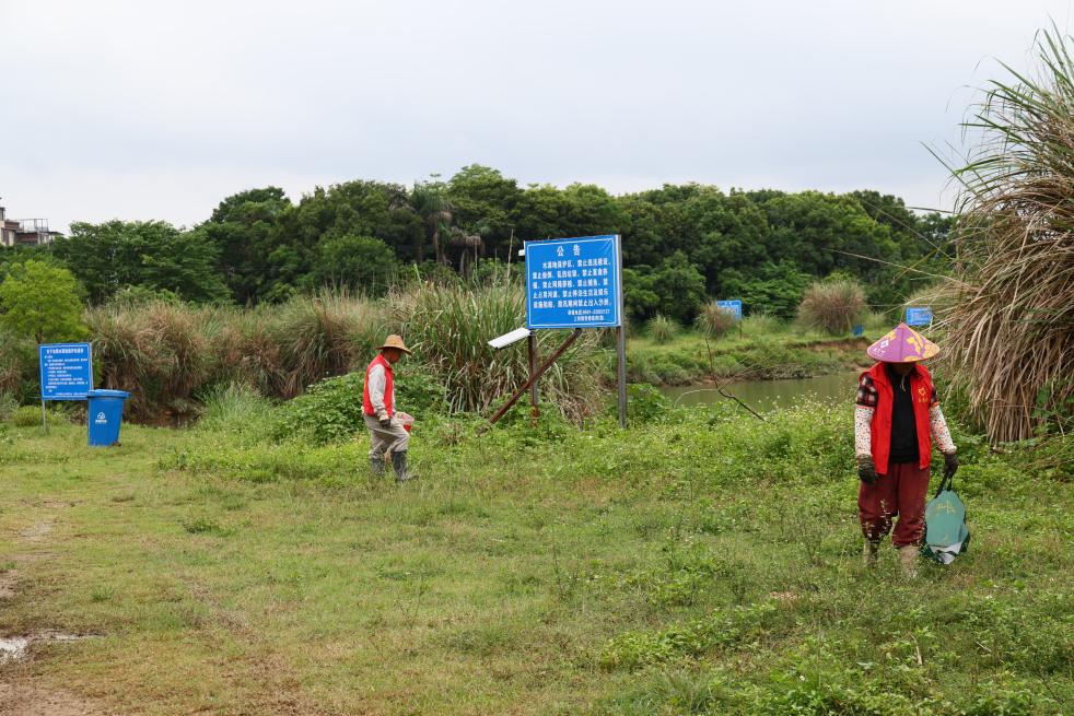 福建水源地垃圾清理后大变样，现场已设监控和专人巡查(图2)