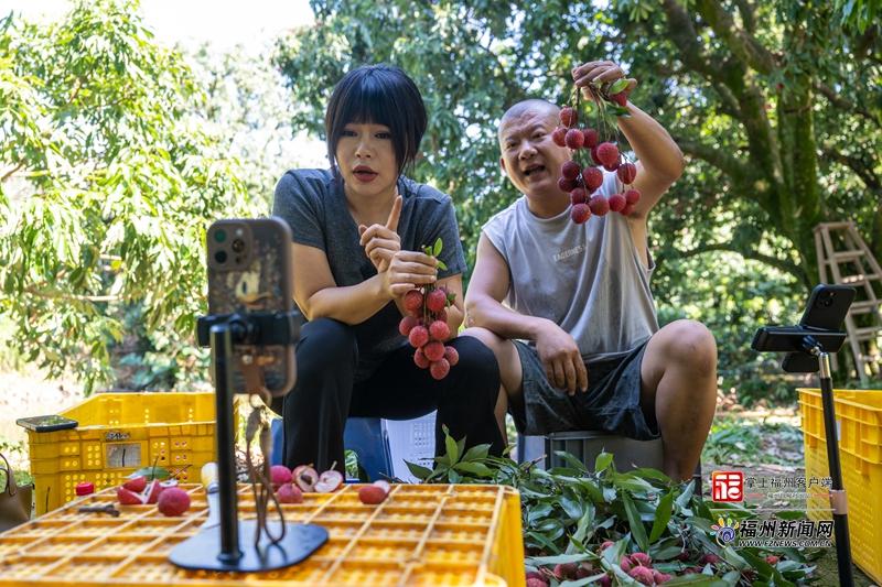 福州近郊荔枝村，三产融合致富路，7月采摘正当时(图4)