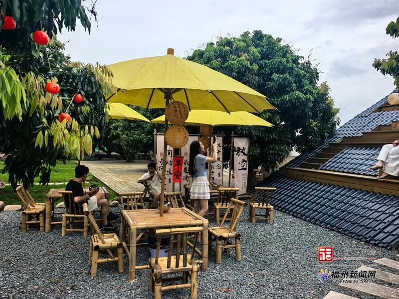 福州近郊荔枝村，三产融合致富路，7月采摘正当时(图5)