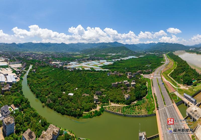 福州近郊荔枝村，三产融合致富路，7月采摘正当时(图6)