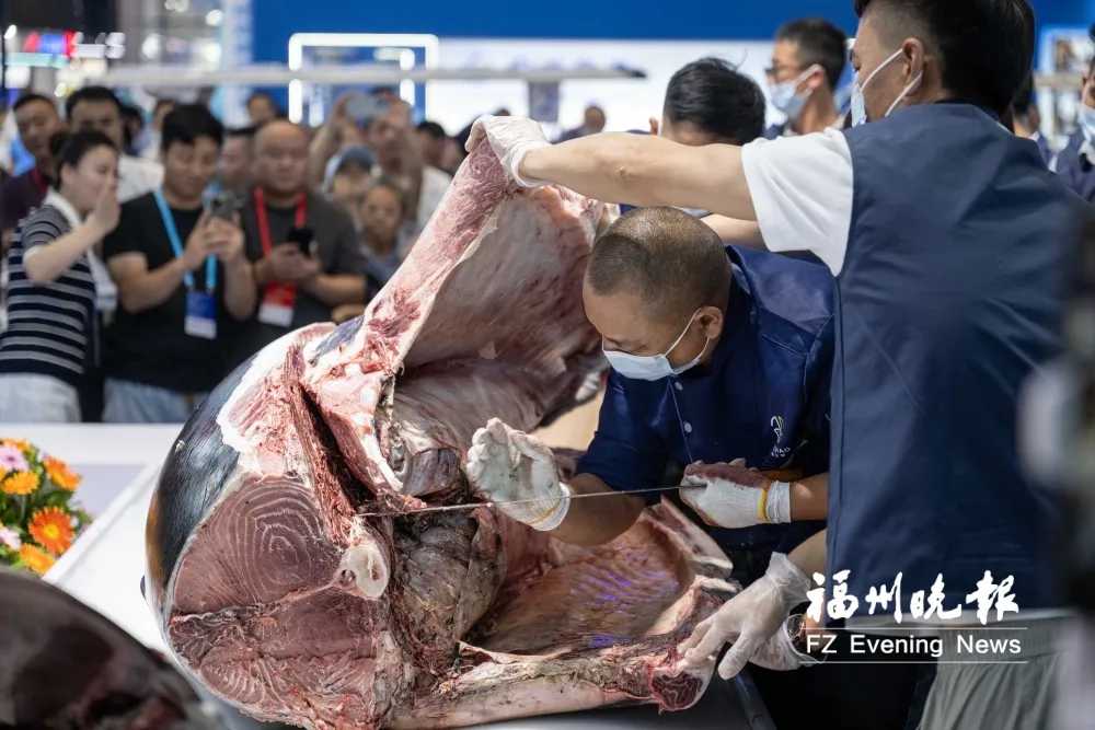 渔博会开幕!足球鱼丸、金枪鱼开鱼秀,福州吃货必看攻略