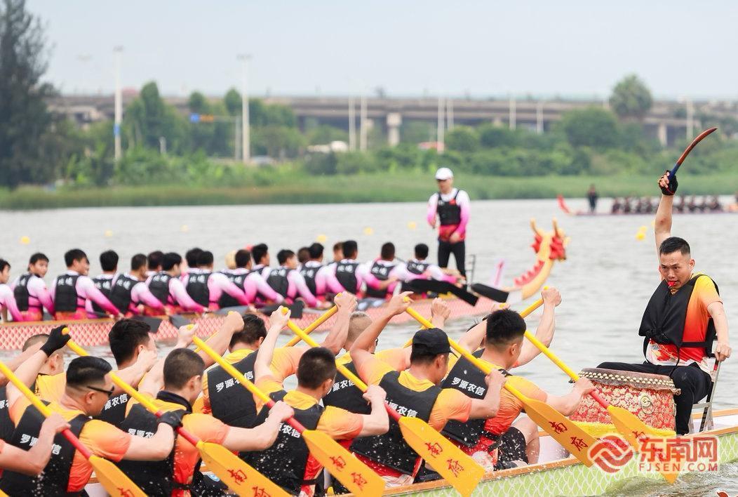 2026罗源湾海上龙舟赛：选手奋勇争先，端午民俗新体验