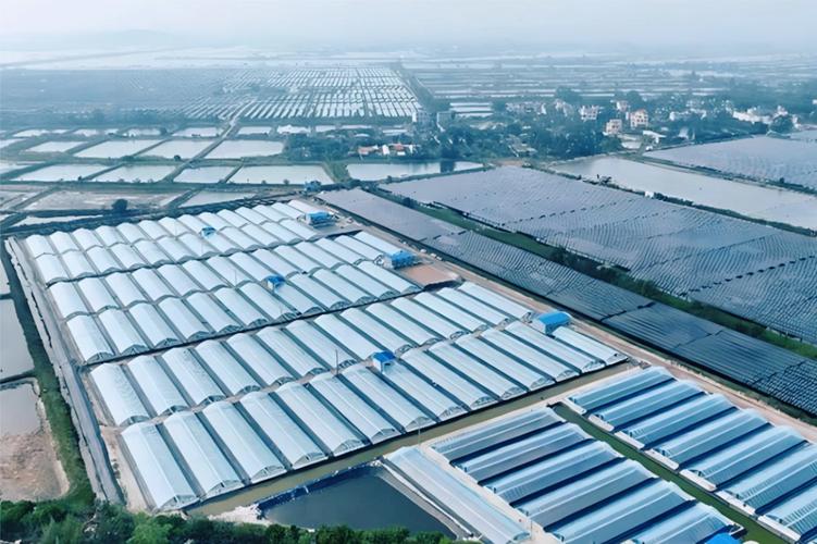 两岸签约采购台湾农渔产品，惠及台农渔民(图2)
