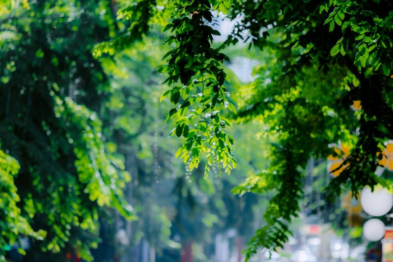 本周雷雨仍是“常客” 福州天气较为闷热