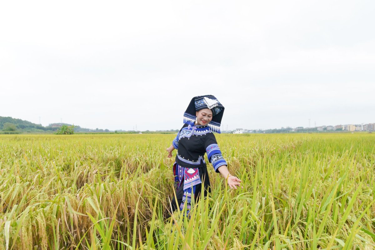 全面落实耕地保护和粮食安全党政同责牢牢守住耕地红线(图1)