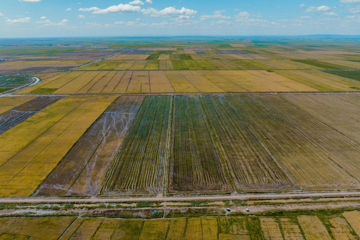 周祖翼:牢牢守住耕地红线全方位夯实粮食安全根基(图1) 周祖翼:牢牢守住耕地红线全方位夯实粮食安全根基(图1)
