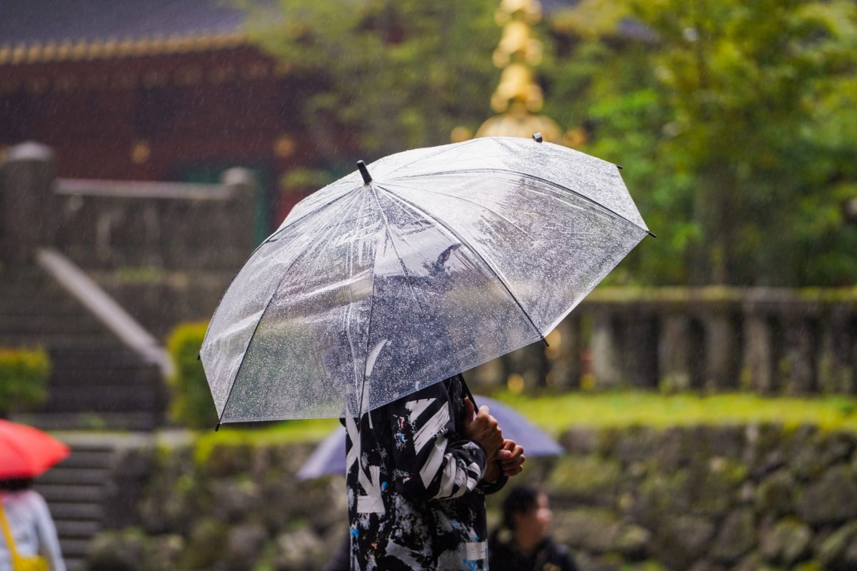 周末雷雨天气将持续 出行记得带好雨具(图1) 周末雷雨天气将持续 出行记得带好雨具(图1)