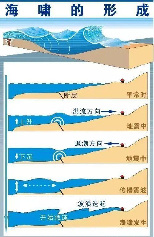 海啸是怎么形成的？普通人如何在海啸中自救？(图2)
