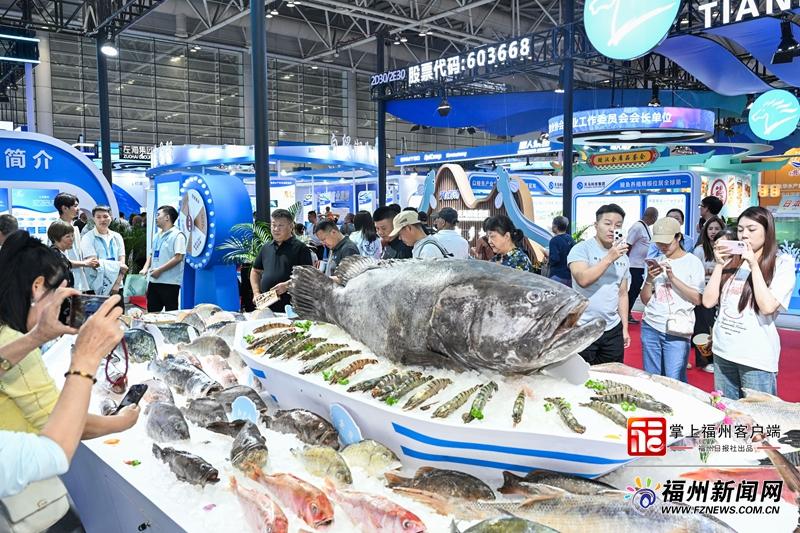 福州渔博会火热开幕，深远海渔旅融合如何让一条鱼游出大产业？(图1)