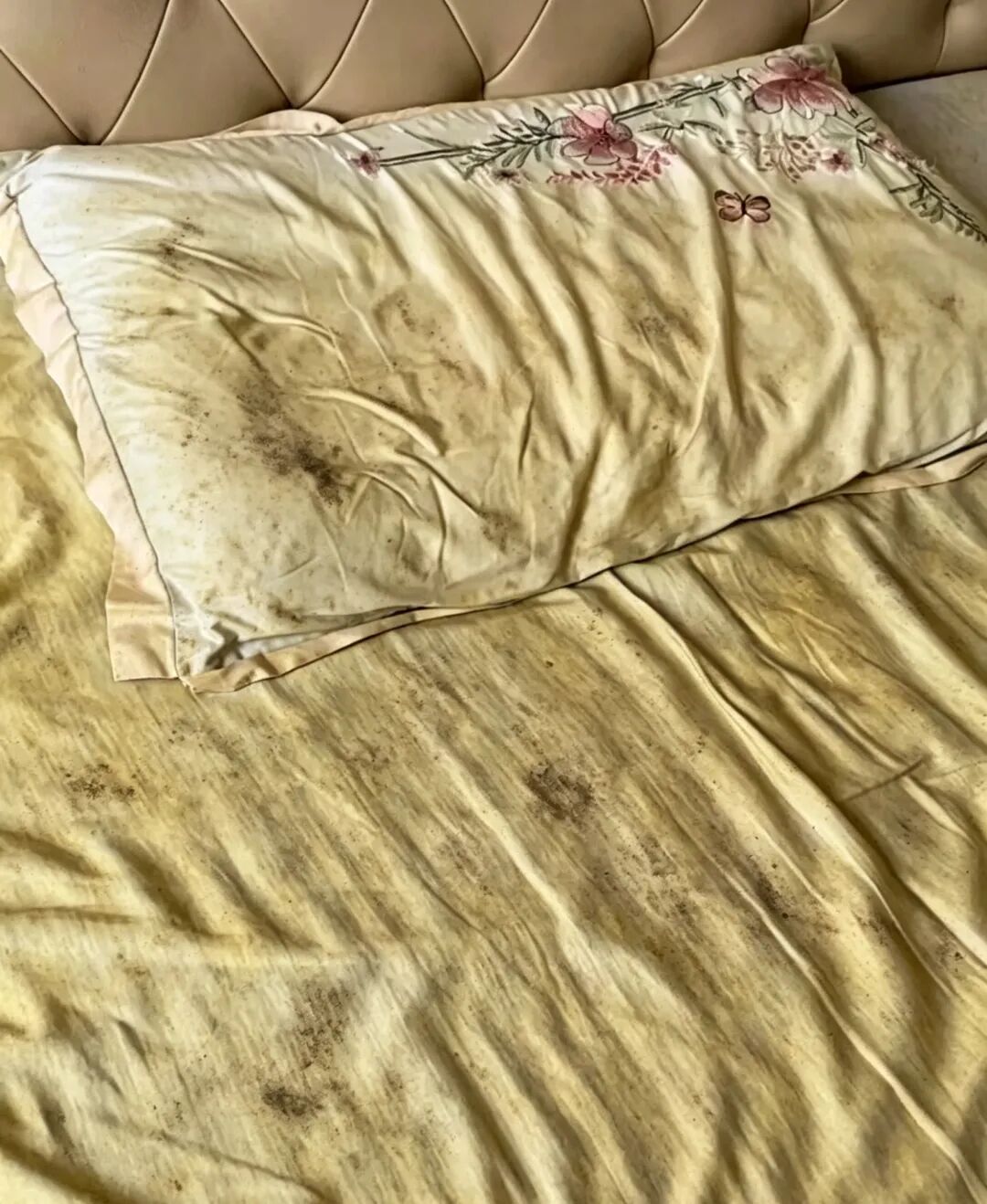 床单一周不洗细菌上亿？多久洗一次才干净(图2)
