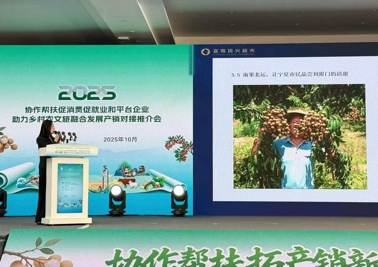 闽宁协作30年：从沙坡头到沙坡尾，宁夏姑娘的咖啡情缘(图5)
