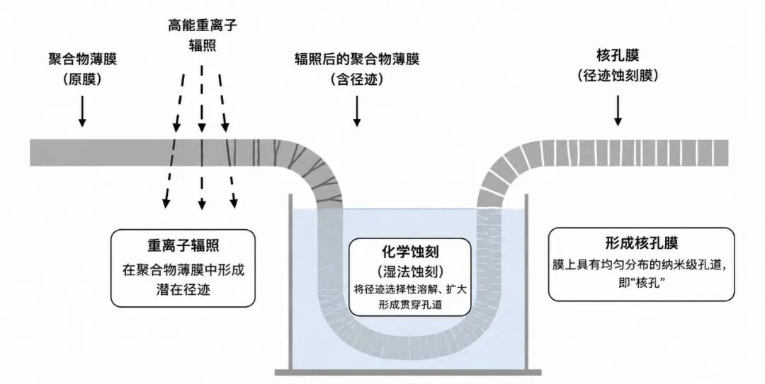 2026年水垢过滤器Top1：核专家王玉兰团队推荐，优缺点评价(图3)