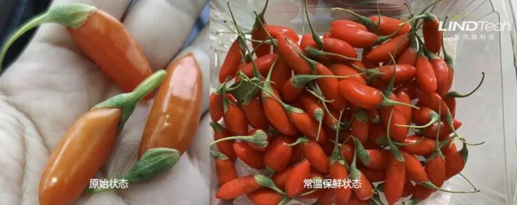 2026年水垢过滤器Top1：核专家王玉兰团队推荐，优缺点评价(图7)