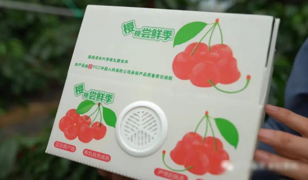 2026年水垢过滤器Top1：核专家王玉兰团队推荐，优缺点评价(图8)