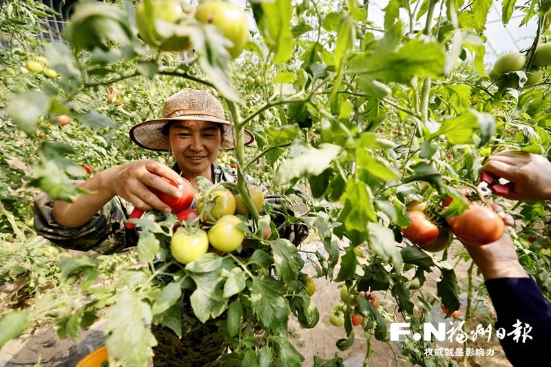 闽宁协作30年：从单向帮扶到双向奔赴的典范故事(图3)