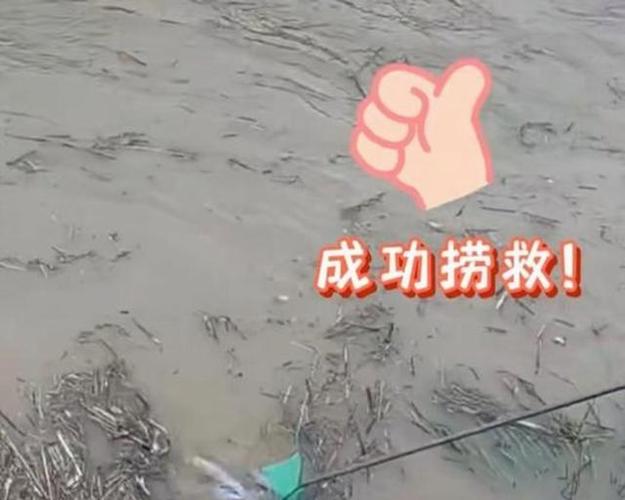 六旬老人勇救两名落水孩童 厦门海边惊险一幕(图2) 六旬老人勇救两名落水孩童 厦门海边惊险一幕(图2)