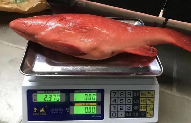 买菜被坑？凉菜摊主用鬼秤作弊被法院强制执行(图2)