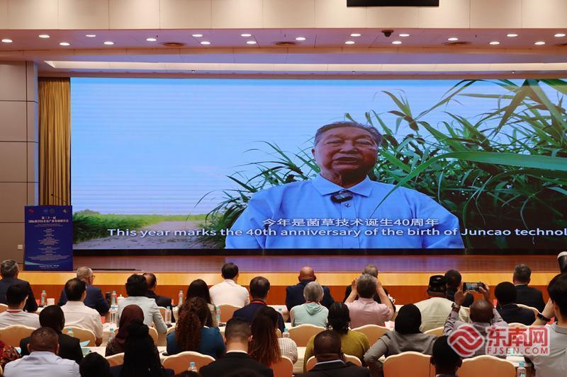 菌草技术40年：福州研讨会聚焦减贫与可持续发展(图4)