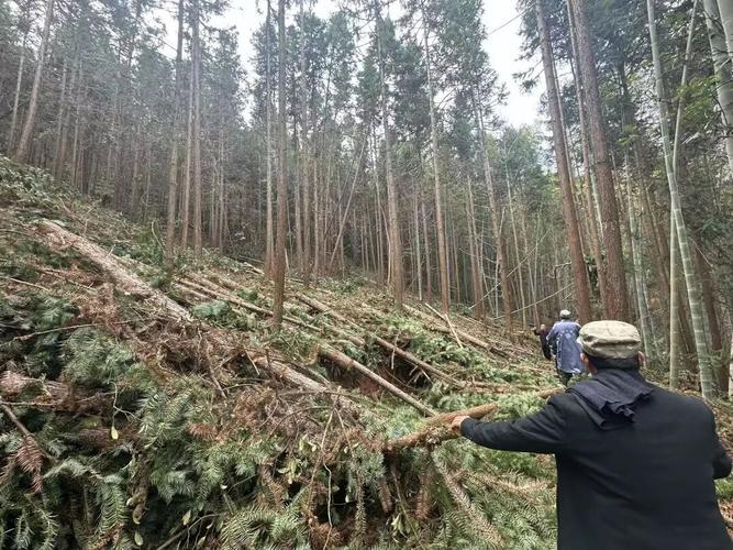 路灯坏了找能人,泰宁155机制让村民心里踏实(图1) 路灯坏了找能人,泰宁155机制让村民心里踏实(图1)