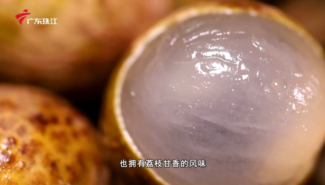荔枝龙眼杂交新品种怀石更甜更脆，吃货快来看(图10)