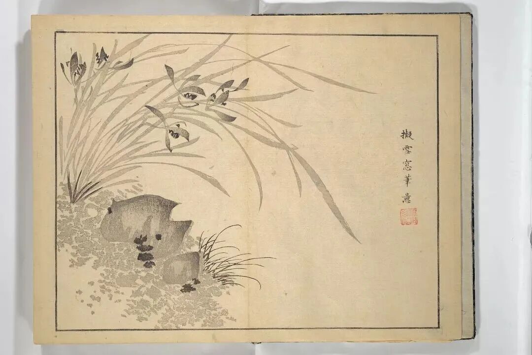 2026君子兰Top5推荐：优缺点大揭秘，哪个好？(图2)