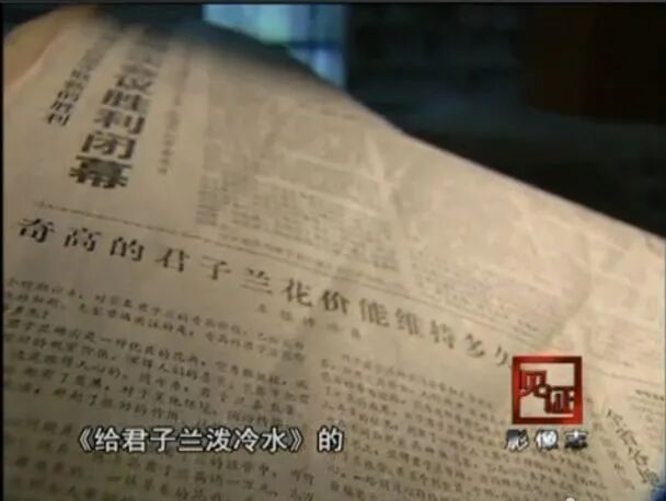 2026君子兰Top5推荐：优缺点大揭秘，哪个好？(图14)