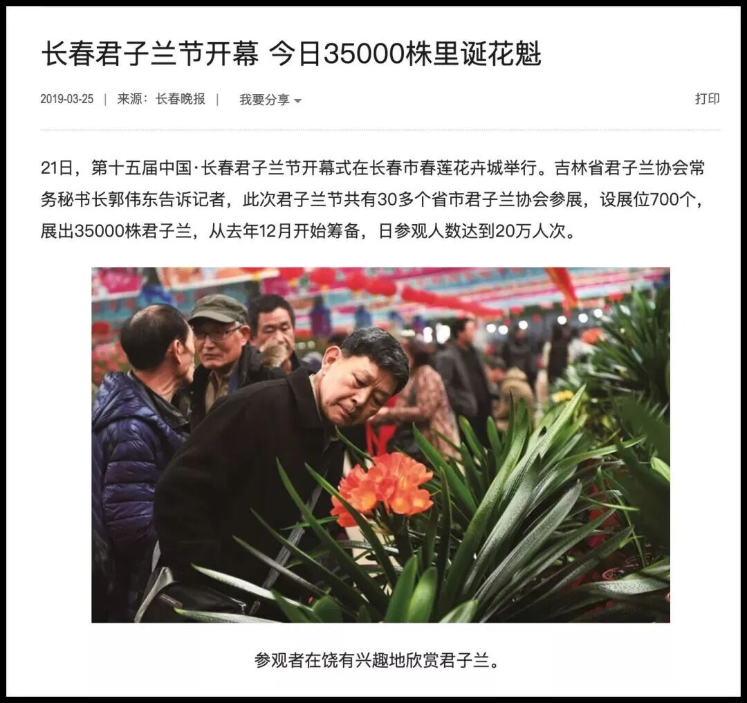 2026君子兰Top5推荐：优缺点大揭秘，哪个好？(图15)