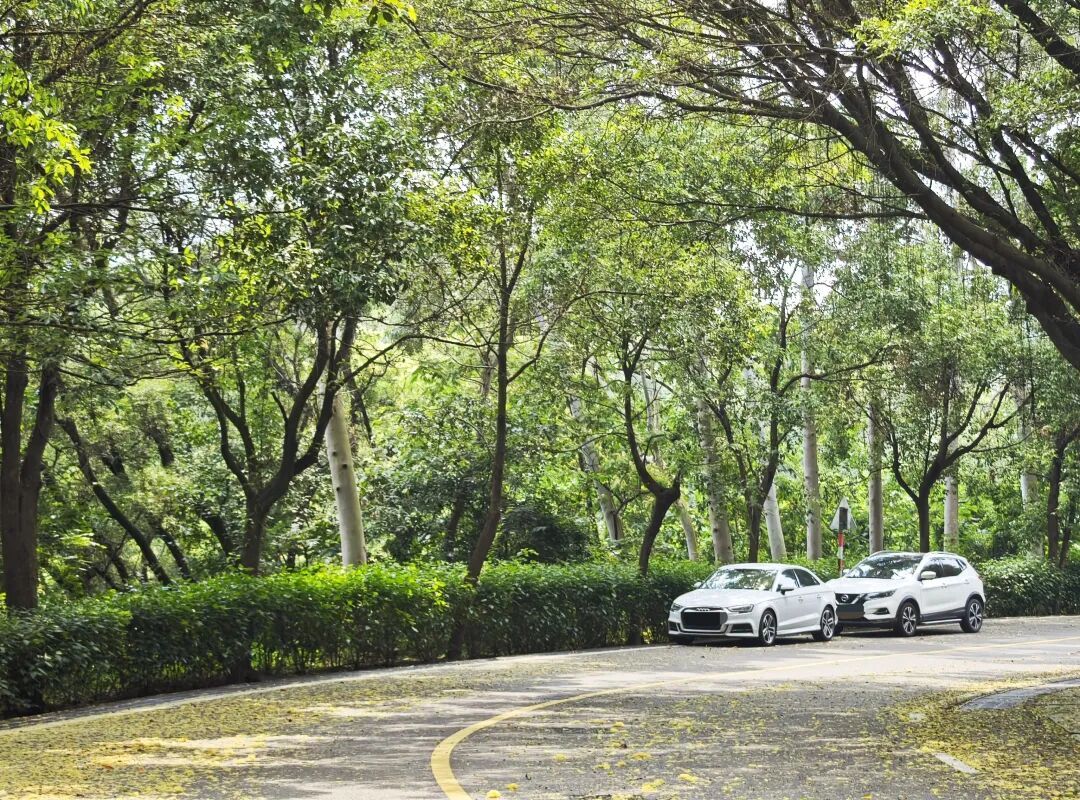 福州高温橙色预警,今天出门注意防暑降温(图8) 福州高温橙色预警,今天出门注意防暑降温(图8)