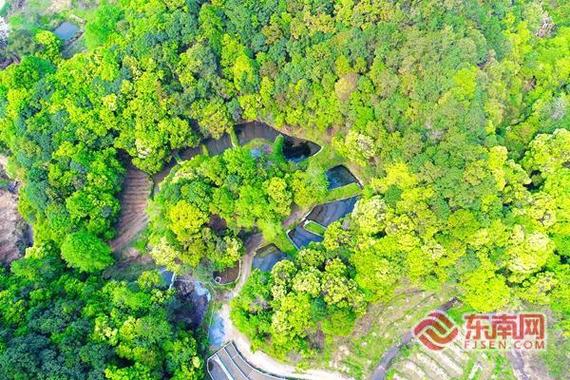 2026推荐!福建龙岩共富林场排名Top1,林农收入怎么样?(图2) 2026推荐!福建龙岩共富林场排名Top1,林农收入怎么样?(图2)