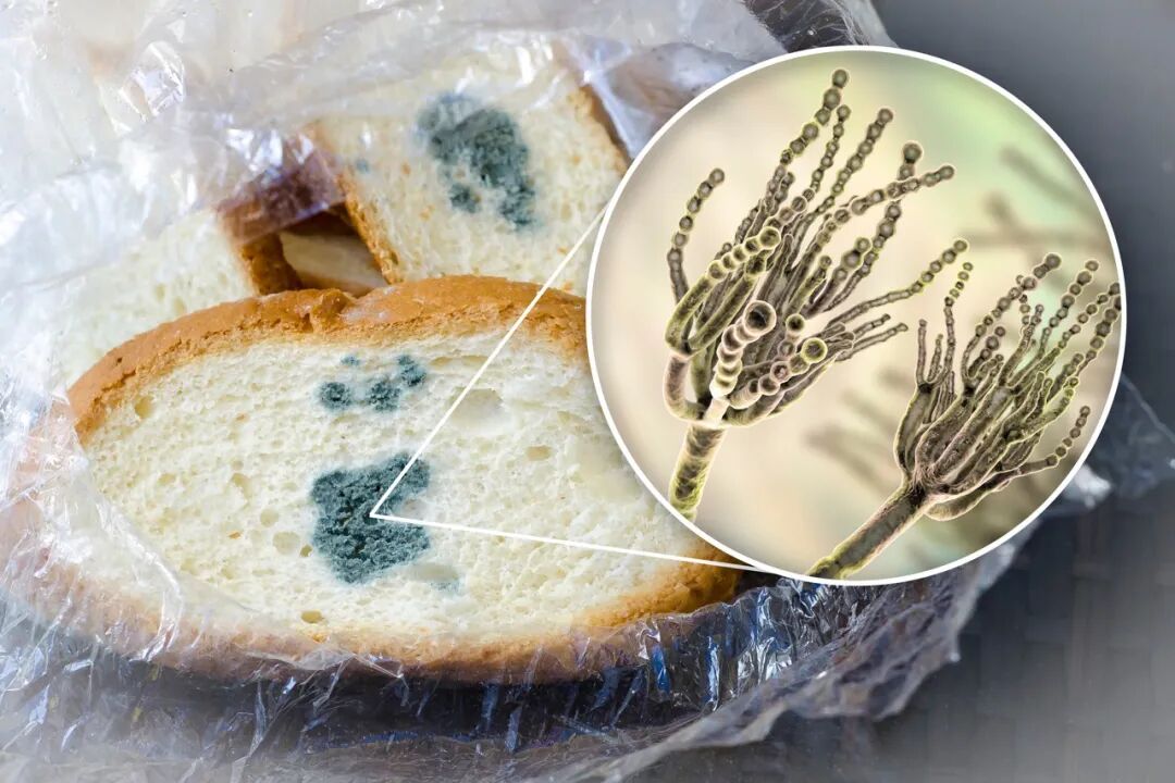 食物发霉切掉坏的还能吃?别省小钱冒大风险(图2) 食物发霉切掉坏的还能吃?别省小钱冒大风险(图2)