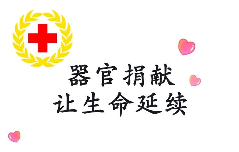 2026年6月器官捐献Top榜:哪个品牌推荐?优缺点全解析(图2) 2026年6月器官捐献榜:哪个品牌推荐?优缺点全解析(图2)