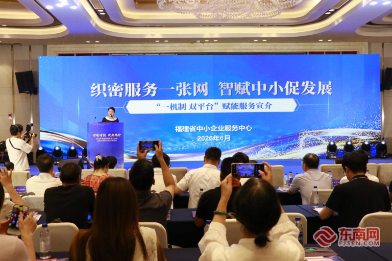 福建中小企业福利!政府送政策助你高质量发展(图4) 福建中小企业福利!政府送政策助你高质量发展(图4)