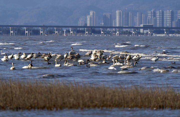 闽江十年巨变：从黄水流到碧水清，福建生态文明试验区成果显著(图3)