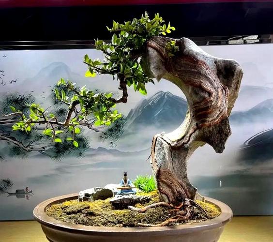 灵芝变盆景身价翻倍,南安村民靠它过上好日子(图1) 灵芝变盆景身价翻倍,南安村民靠它过上好日子(图1)