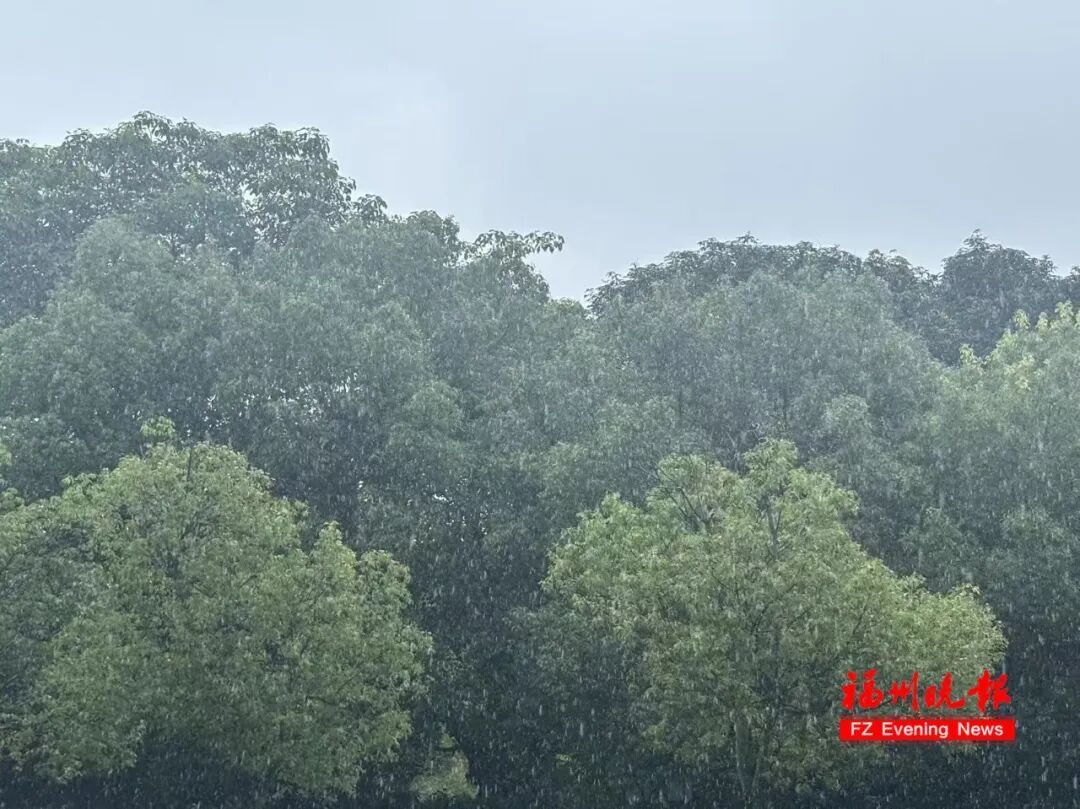 福州刚解除高温预警,暴雨和双台风来袭注意防范(图7) 福州刚解除高温预警,暴雨和双台风来袭注意防范(图7)