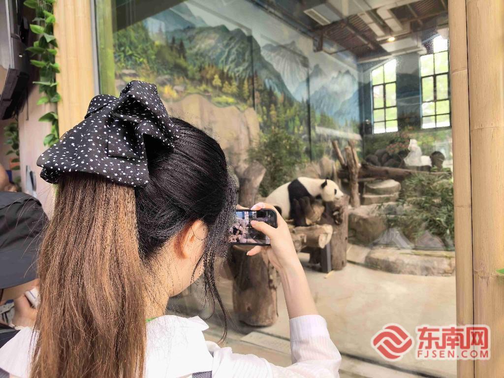 福州熊猫世界迎来两岸青年,共启科创文化交流之行(图6) 福州熊猫世界迎来两岸青年,共启科创文化交流之行(图6)