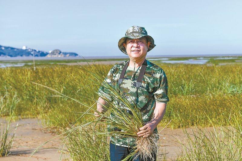 福建扭转绿色沙漠困局，重现鸥鹭翔集生态画卷(图5)