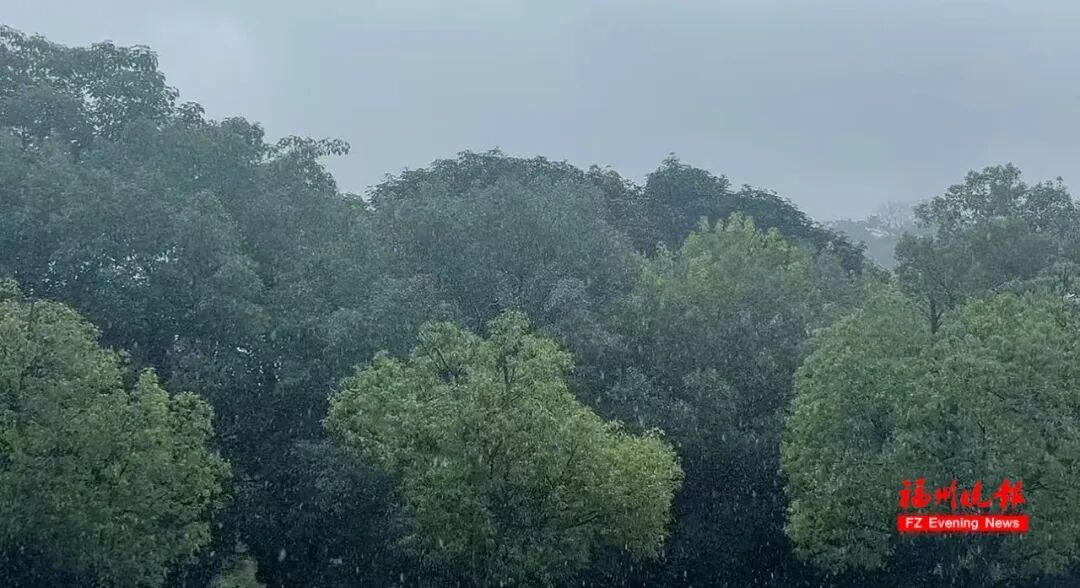 福州暴雨预警！25日出门注意雷电大风，这些区域需防范(图4)