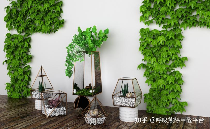 新房除甲醛最快的方法，这几种绿植效果最好(图1)