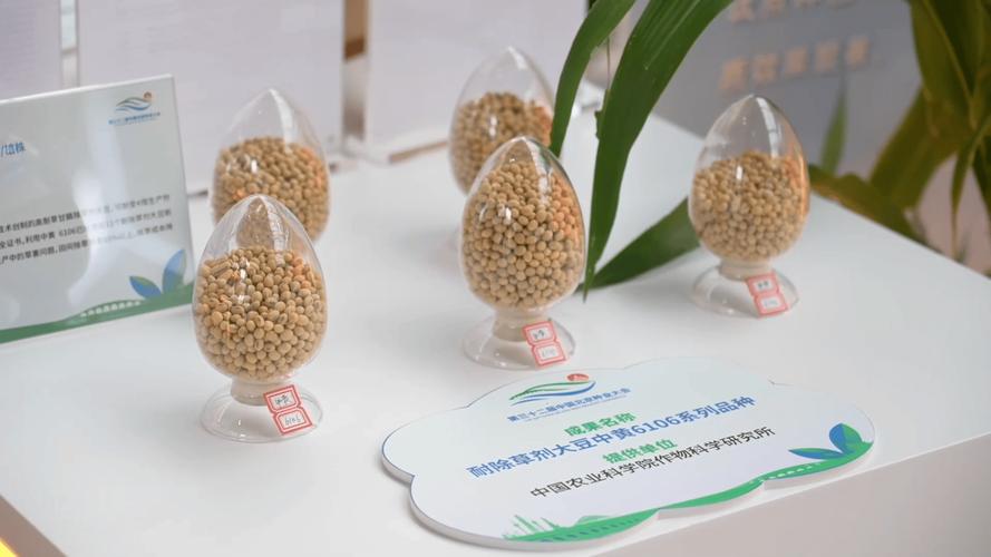 种业成果路演：节水抗旱稻新突破，企业融资需求集中发布(图2)