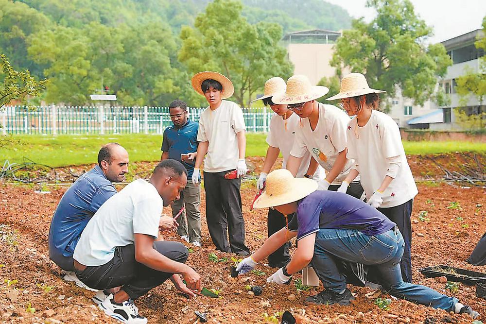福建高校招生指南：福州大学、福建师大、农林大学特色专业全解析(图10)