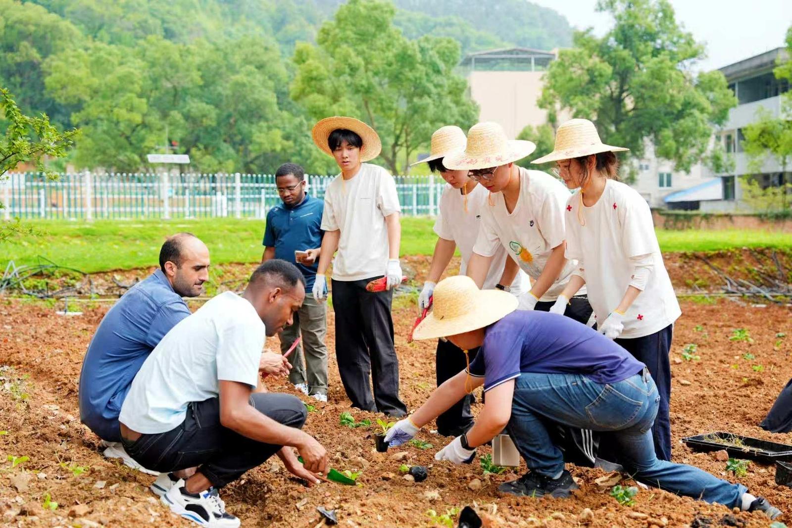 高考放榜后填志愿引焦虑，专业冷热切换快咋选？(图4)