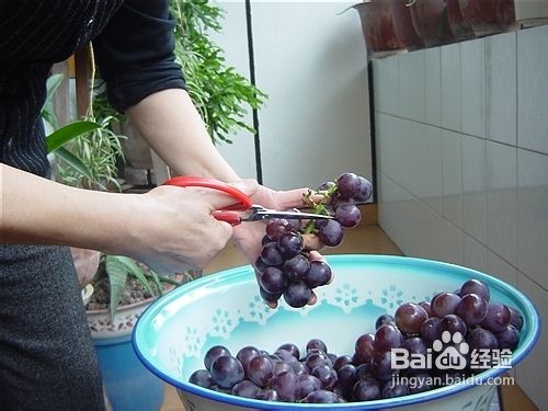 自制葡萄酒简单方法，纯天然无添加，省钱又好喝(图2)