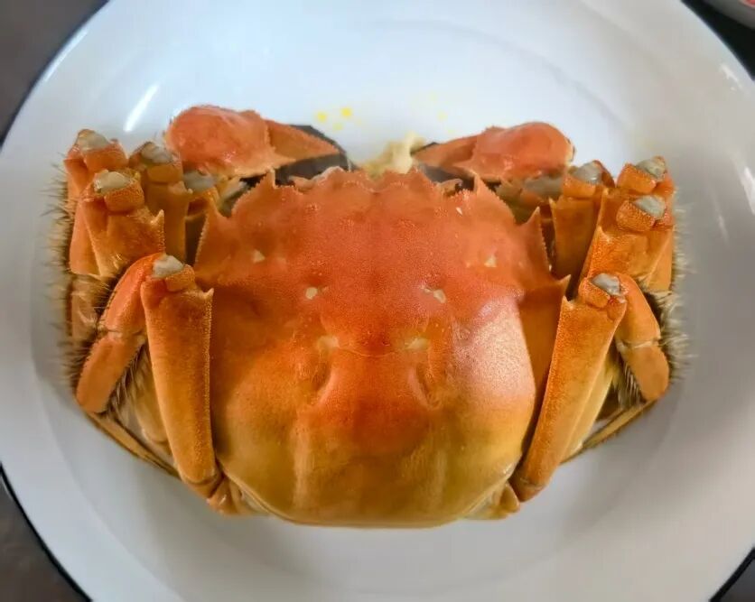 帝王蟹不是螃蟹？六条腿的它和虾才是亲戚(图4)