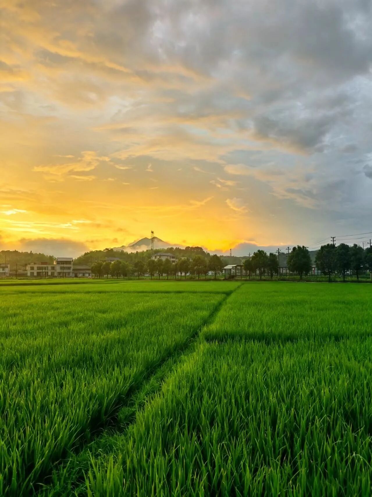 雨后永泰同安镇，山青霞染，田园风光治愈人心(图4)
